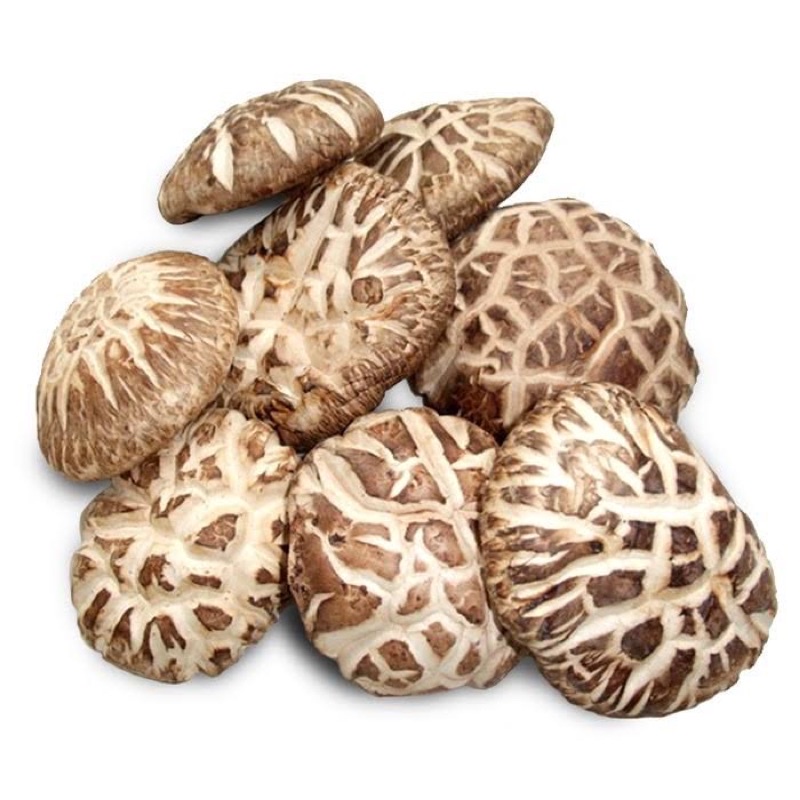 

Jamur Shitake Grade A jamur payung kering Hioko Siangku Asli Import dried mushroom