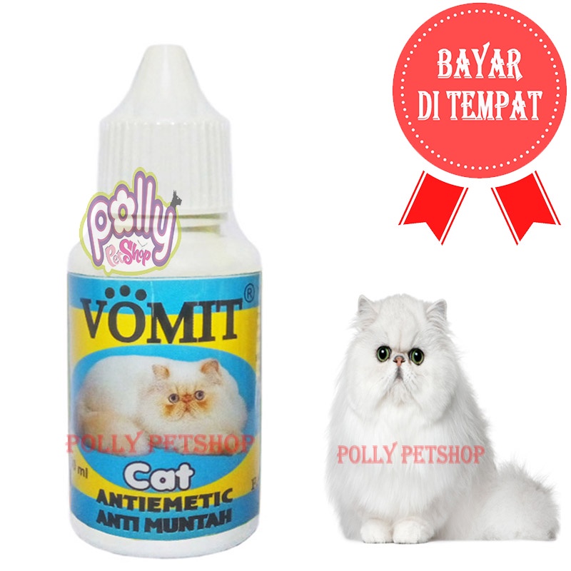 OBAT KUCING MUNTAH STRESS MABUK PENCERNAAN DIARE ANAK KUCING KITTEN VOMIT CAT