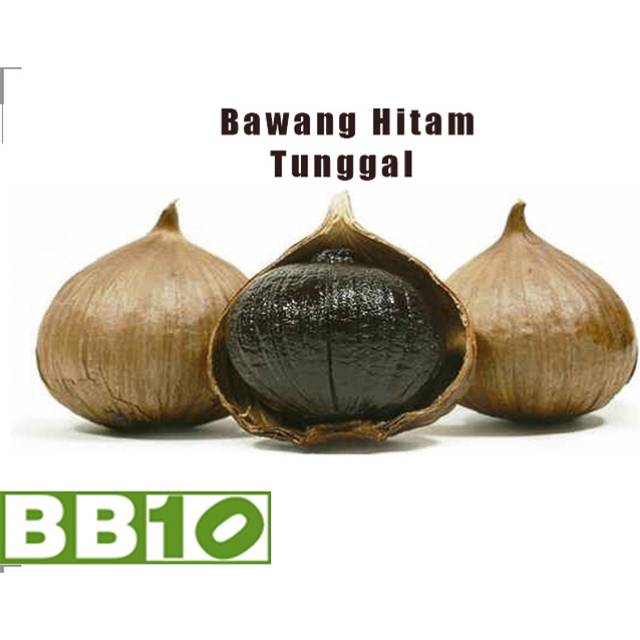 

Bawang Hitam Tunggal BB 10