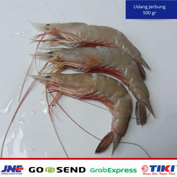 

PROMO Udang Jerbung / Udang Peci 500 gr NEW