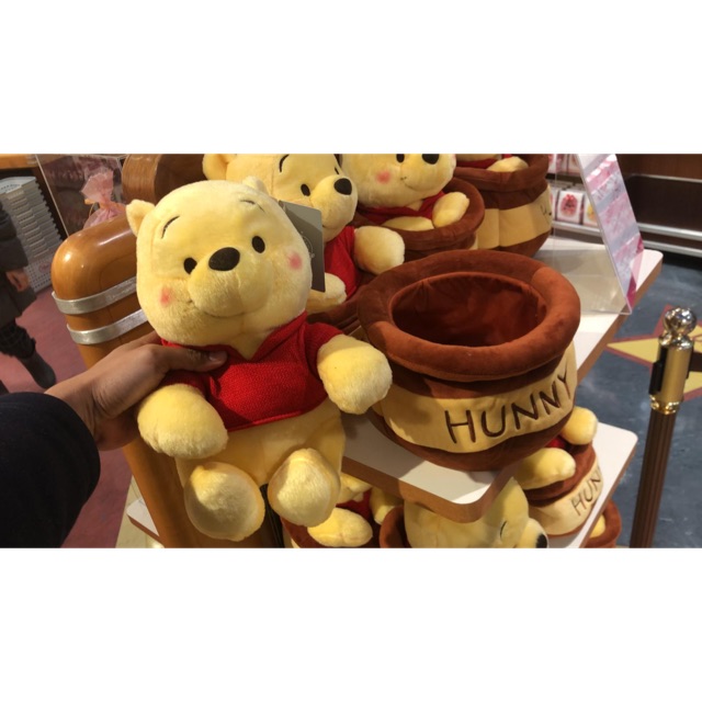 Original Disneyland Winnie the Pooh