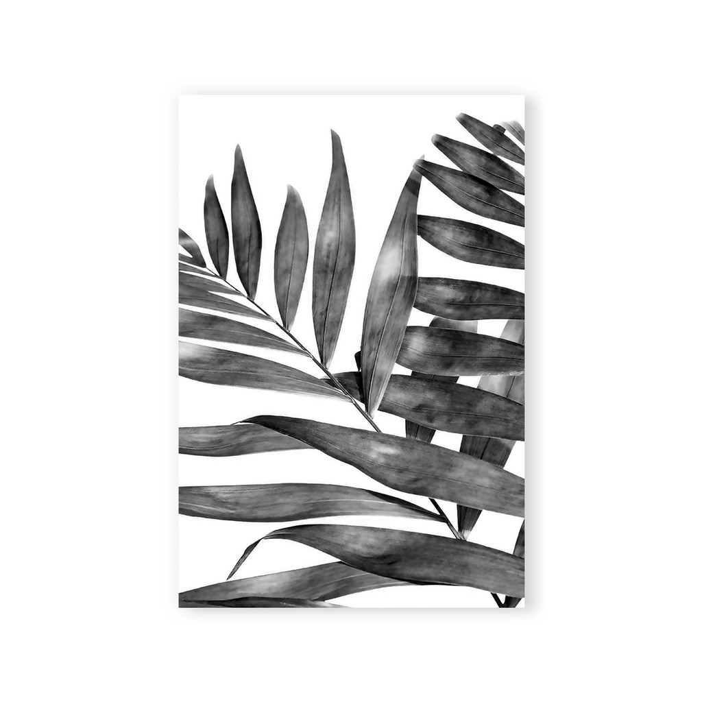 Hiasan Dinding Hiasan Kamar Wall Decor Leaf Monochrome - WD69