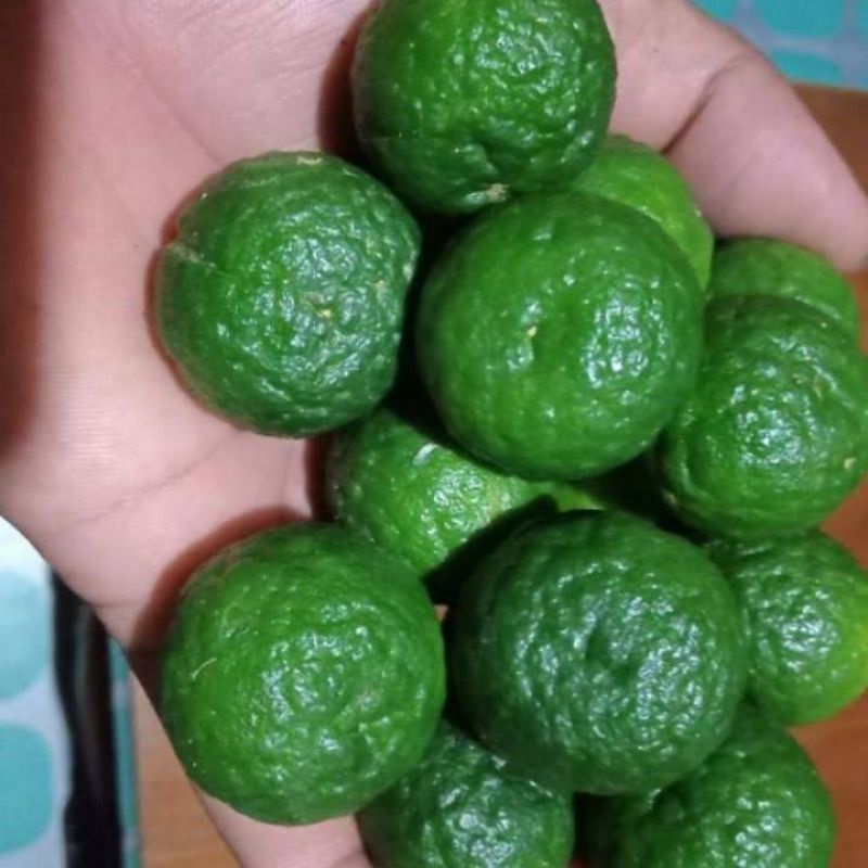 

Jeruk Limau 200 gr