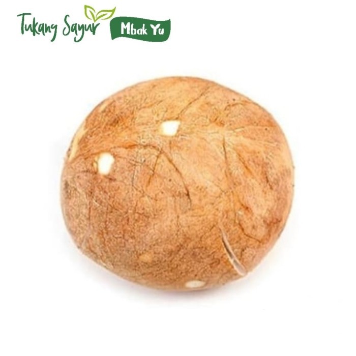 

Kelapa utuh bulat