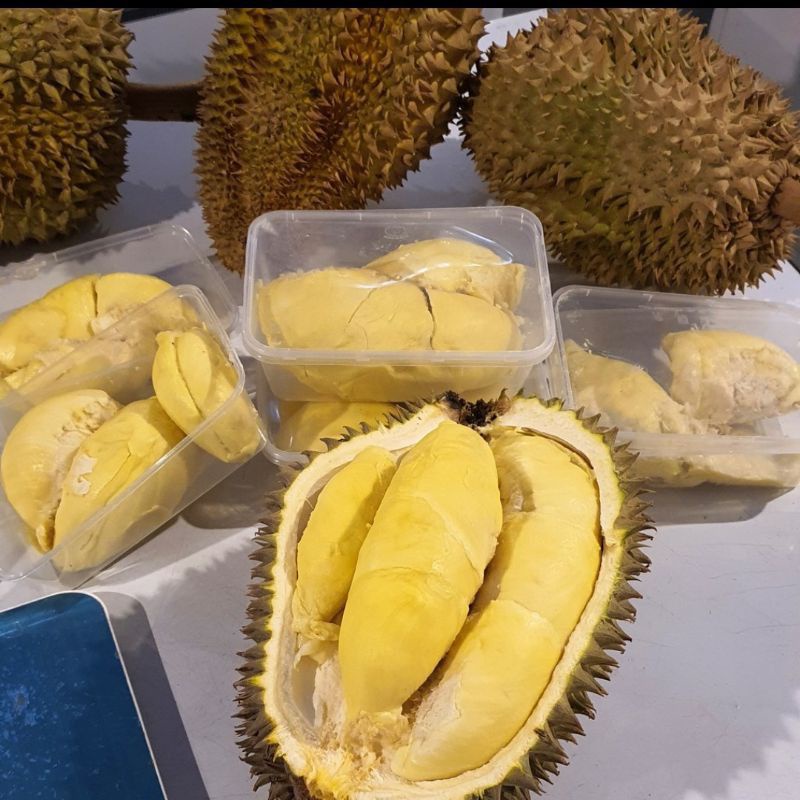

durian montong palu parigi premium