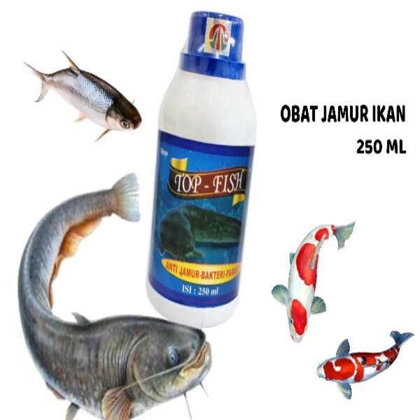 Top Fish Biru 250ml Obat Ikan Anti Jamur Bakteri Parasit Mas Lele Nila