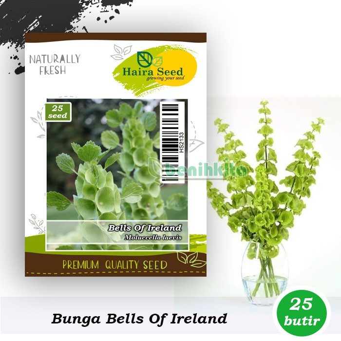 Benih-Bibit Bunga Bells Of Ireland (Haira Seed)