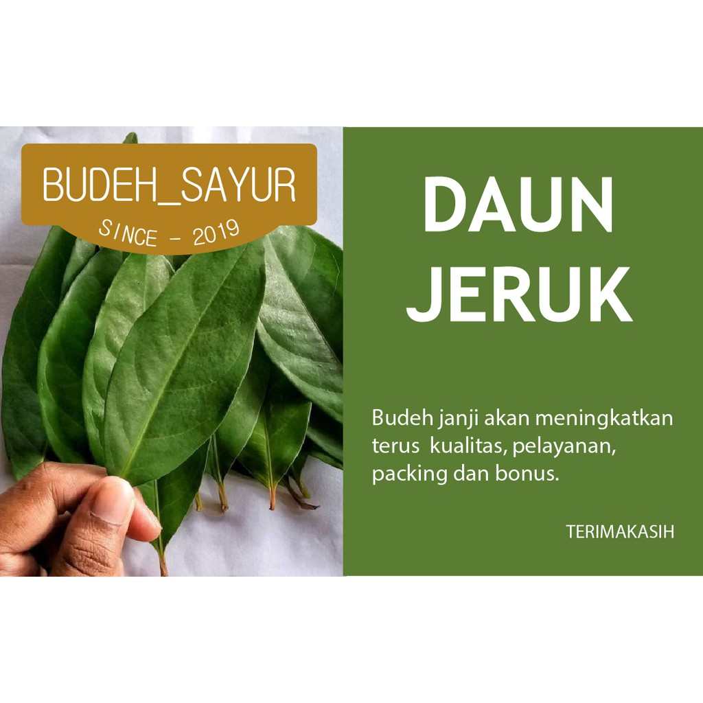 

Daun jeruk 25gr