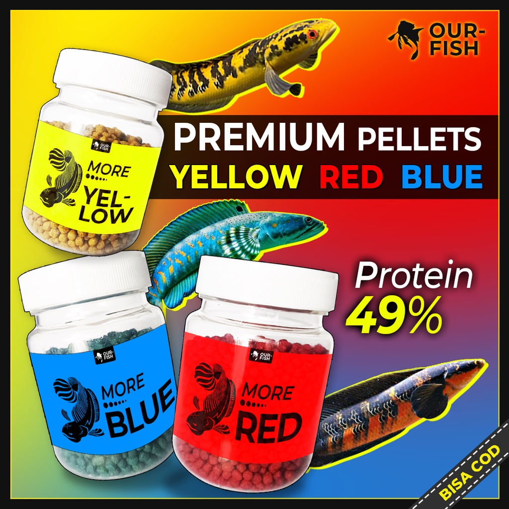 OURFISH - Pelet Pakan Ikan Channa More Yellow Blue Red Andrao Stewarti Aquatic El Barca Feed