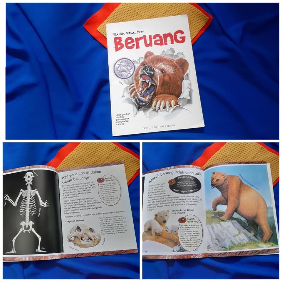 Makhluk Menakutkan Beruang buku anak pengetahuan bekas second preloved
