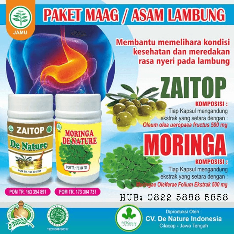 Jual Obat Herbal Asam Lambung De Nature Indonesia Shopee Indonesia