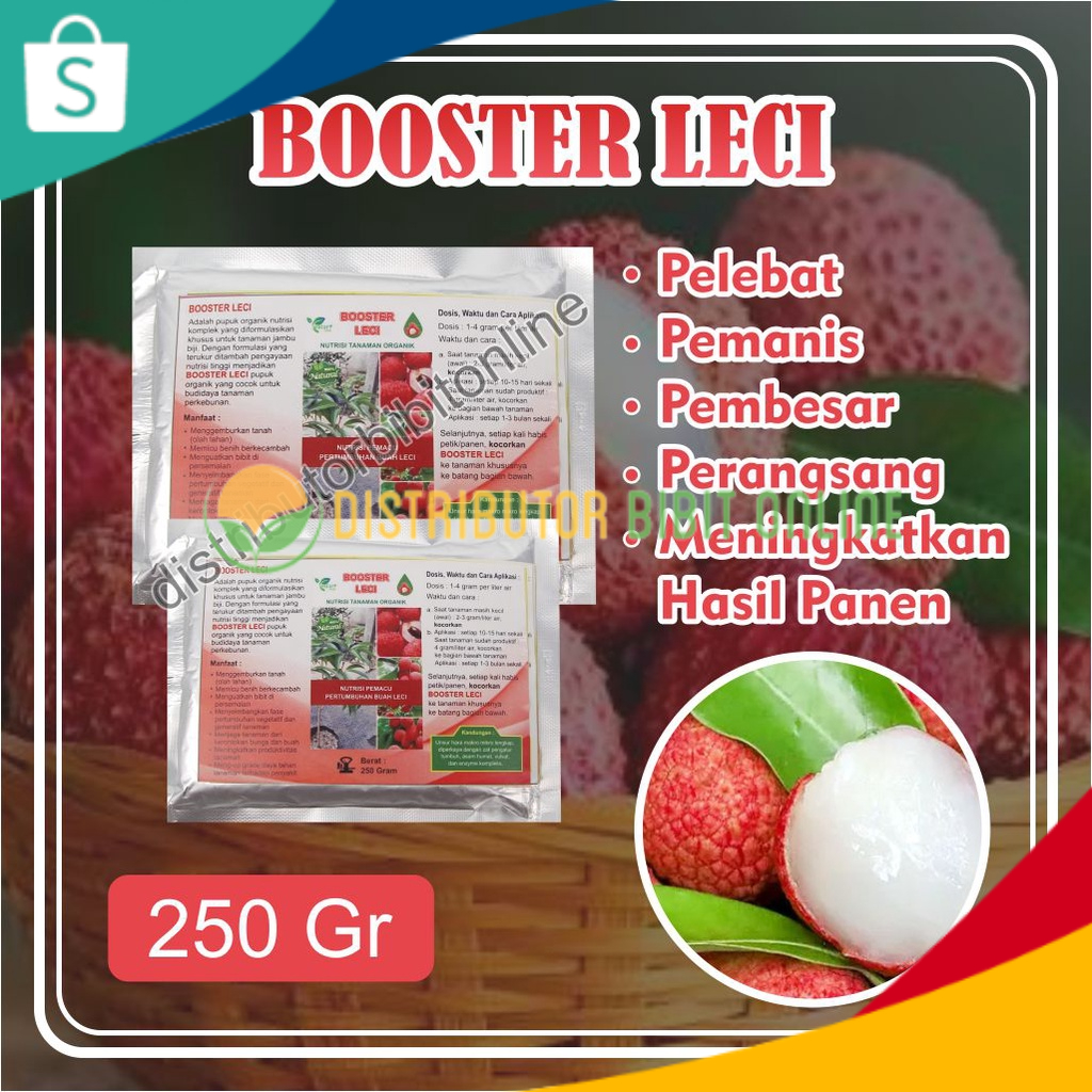 Booster Leci, Bisa COD Pupuk Booster Buah Leci, Pemicu Leci Cepat Berbuah
