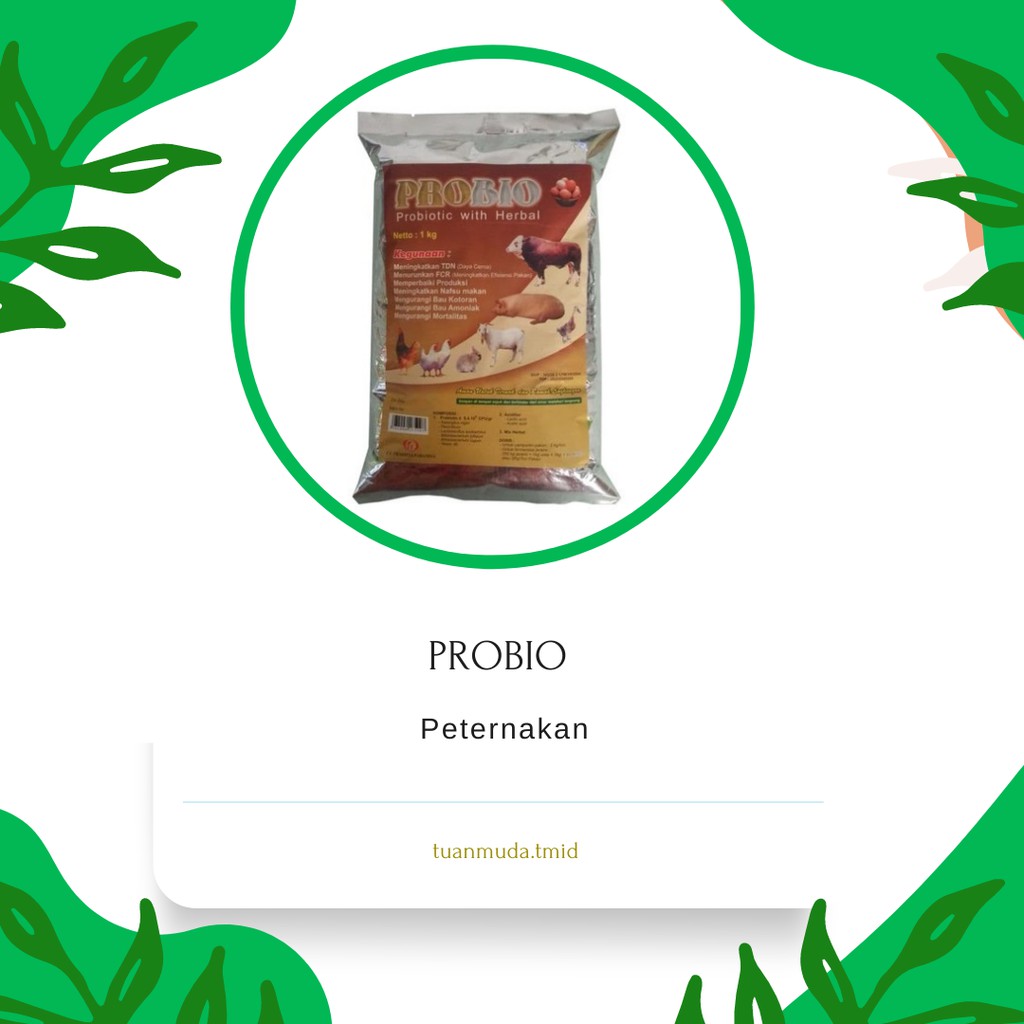 Probio -  Suplemen Powder Penggemuk Sapi