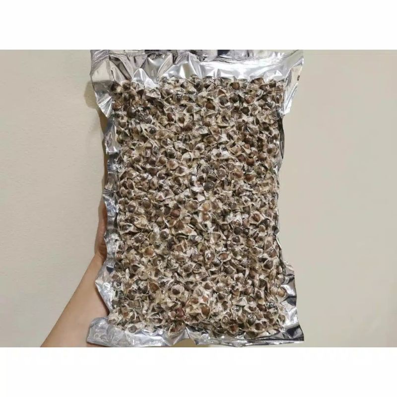 

Moringa seed natural 100% export quality