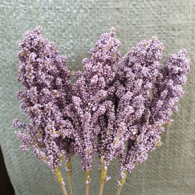 ( 6 Pcs ) Bunga Edelweiss Foam / Bunga Artificial-Ungu tua