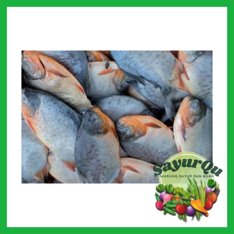 

Ikan Bawal 1 kg - Ikan Segar Bekasi