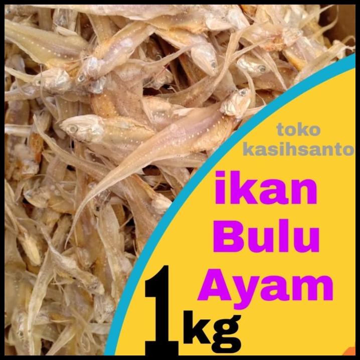 Ikan Asin Bulu Ayam-1Kg