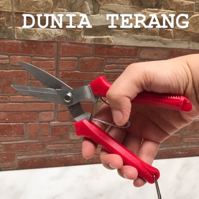 Gunting Seng Serbaguna ATS 8 Inch - Gunting Korea Lancip Dahan Ranting - Pruning Shears TSA905