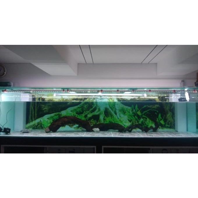 aquarium 350x100x85