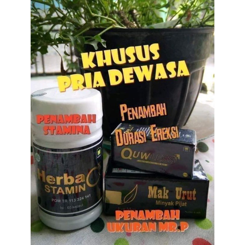 StaminaPriaDewasa