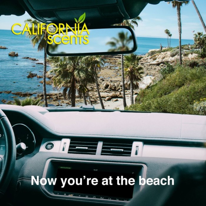 California Scents Vent Sticks Parfum Pengharum Pewangi Kisi AC Mobil