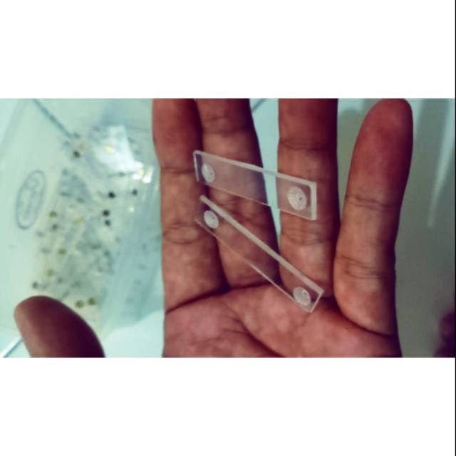 

Acrylic landasan papa nama