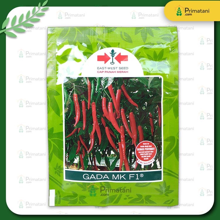 Benih Cabai Besar Gada MK 10 gr High Quality