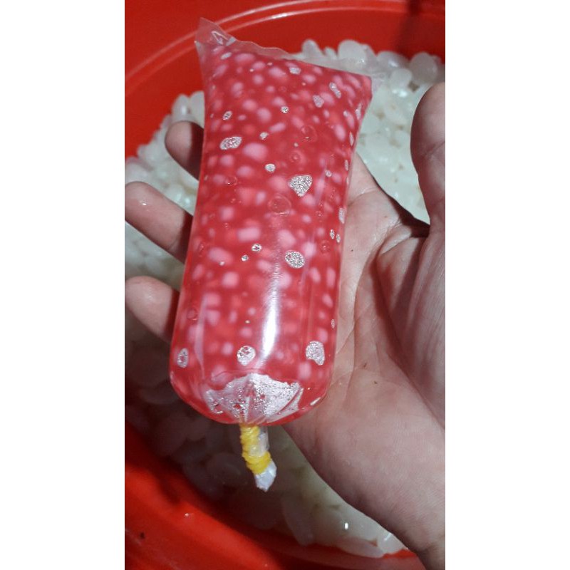

sagu mutiara/1,biji