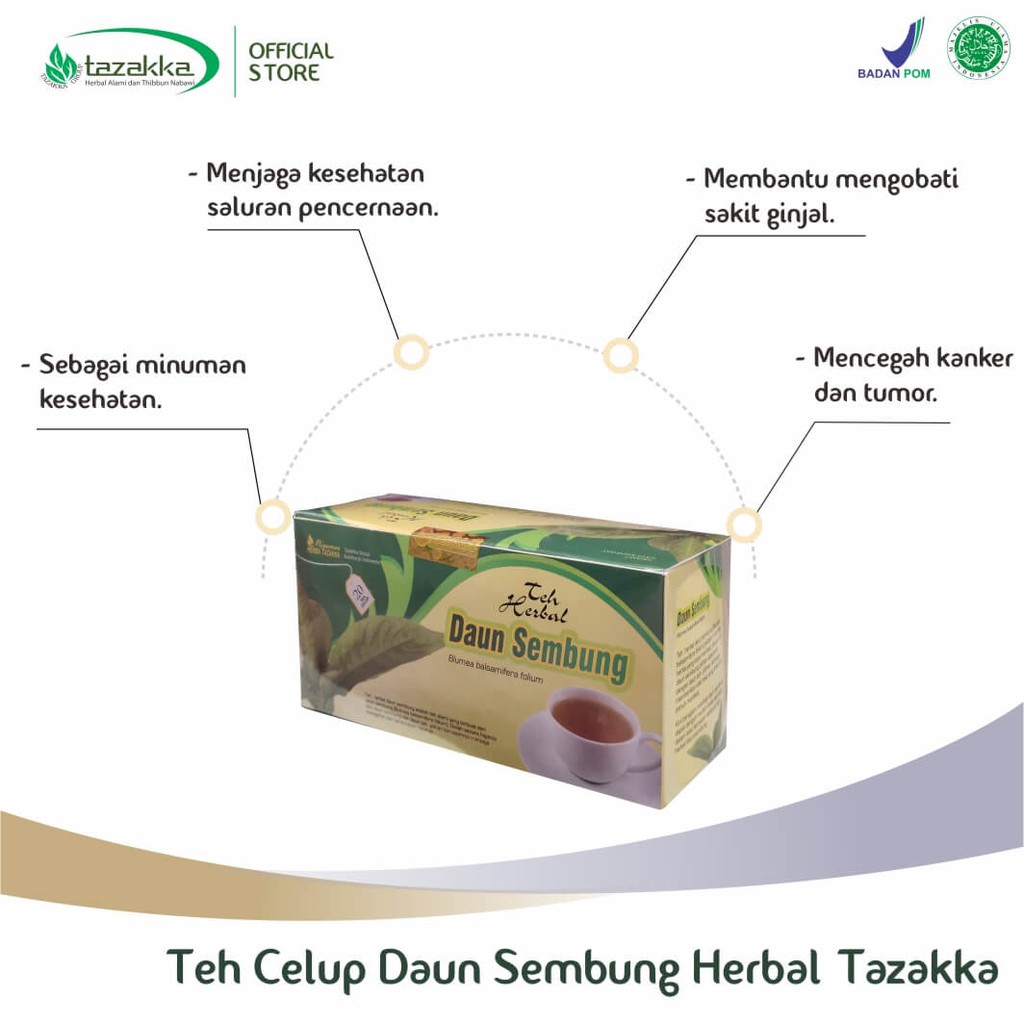 Obat herbal khasiat ampuh teh daun sembung original tazakka alami tanpa efek samping berkualitas