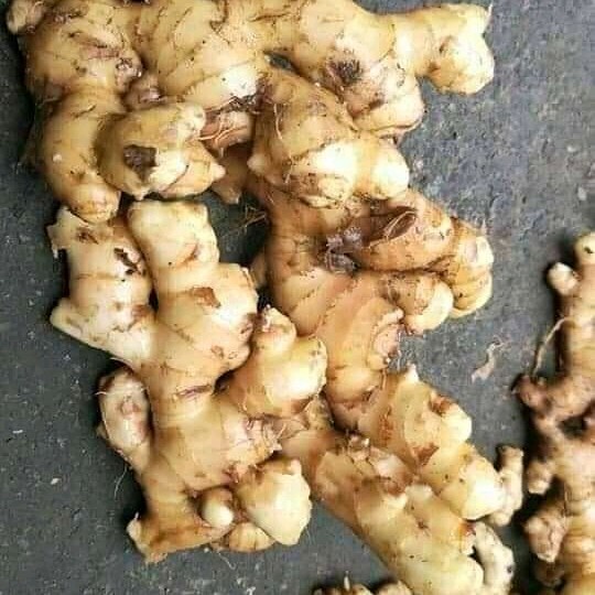 

Jahe Putih/Jahe Gajar 500 Gram Segar(Fresh)