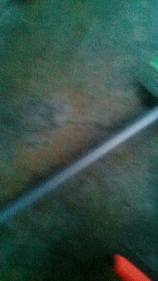 Nagoya Sikat Dorong Kobe Medium 22cm/sikat Lantai Dorong/sikat Lantai Gagang Panjang