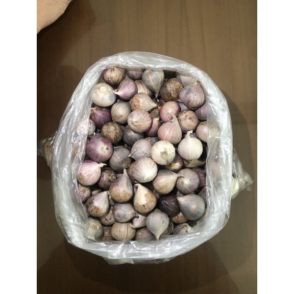 Bawang Putih Tunggal Lanang 1 Kg | Cocok untuk Madu