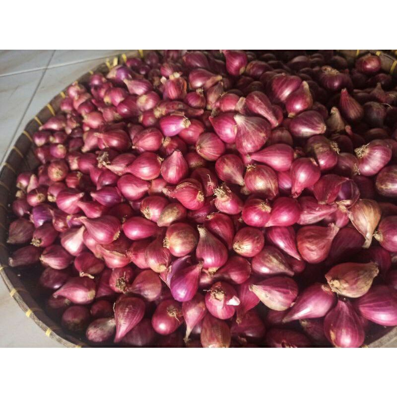 

Bawang Merah Super / Brambang Super /Bawang Merah Probolinggo