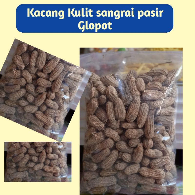 

Kacang Sani Kulit Sangrai Pasir Glopot Oleh Oleh 250 gram