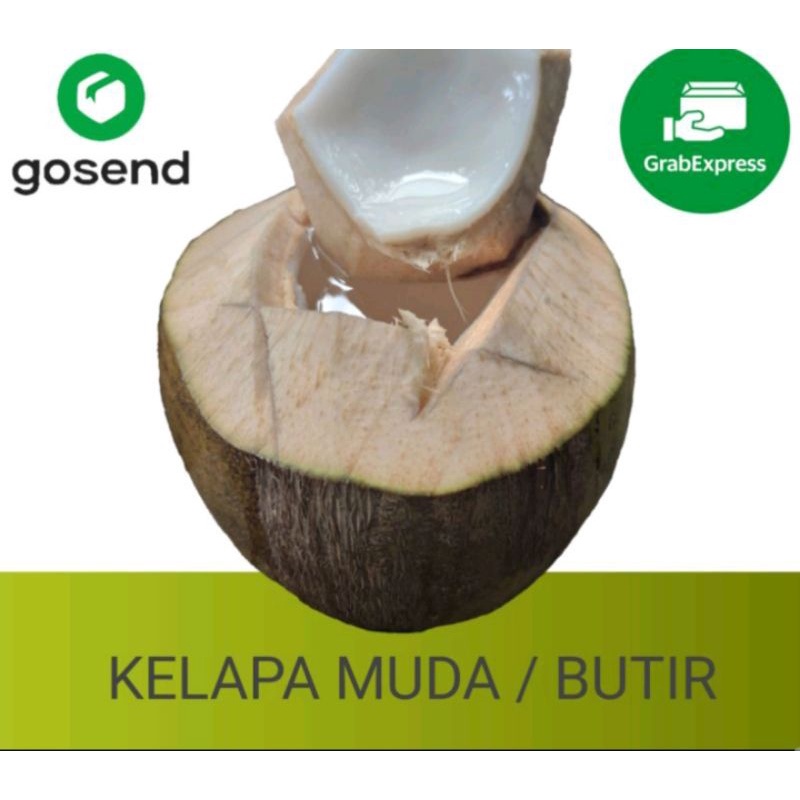 

Kelapa muda & kelapa ijo utuh butir.AREA TANGERANG-jakarta