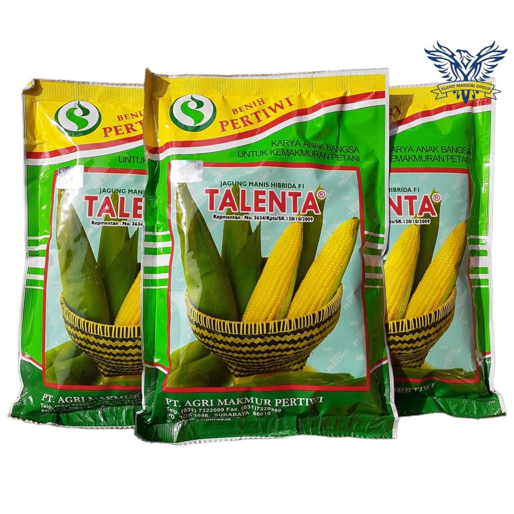 TALENTA 250 Gr Benih bibit jagung manis madu kualitas terbaik benih pertiwi