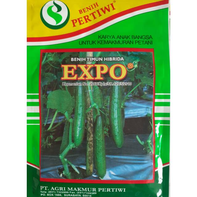 Benih Timun Jepang Expo