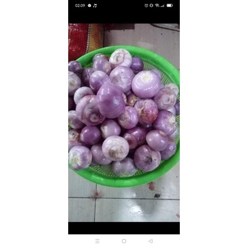 

bawang goreng India