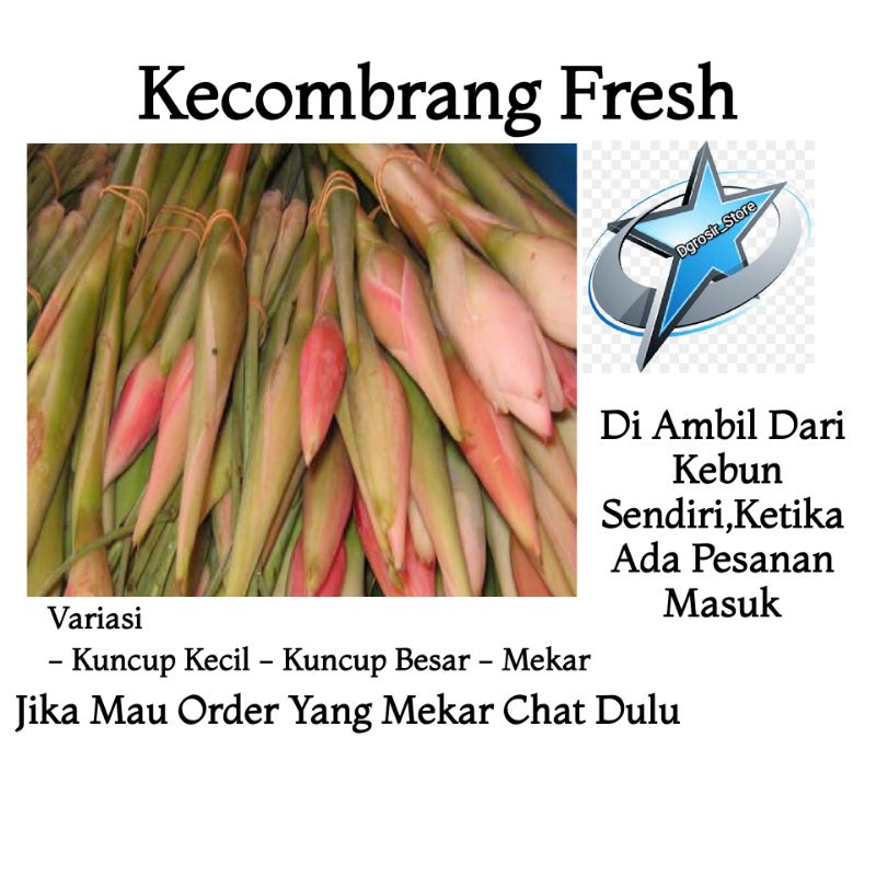 

1kg kecombrang segar seribu manfaat murah