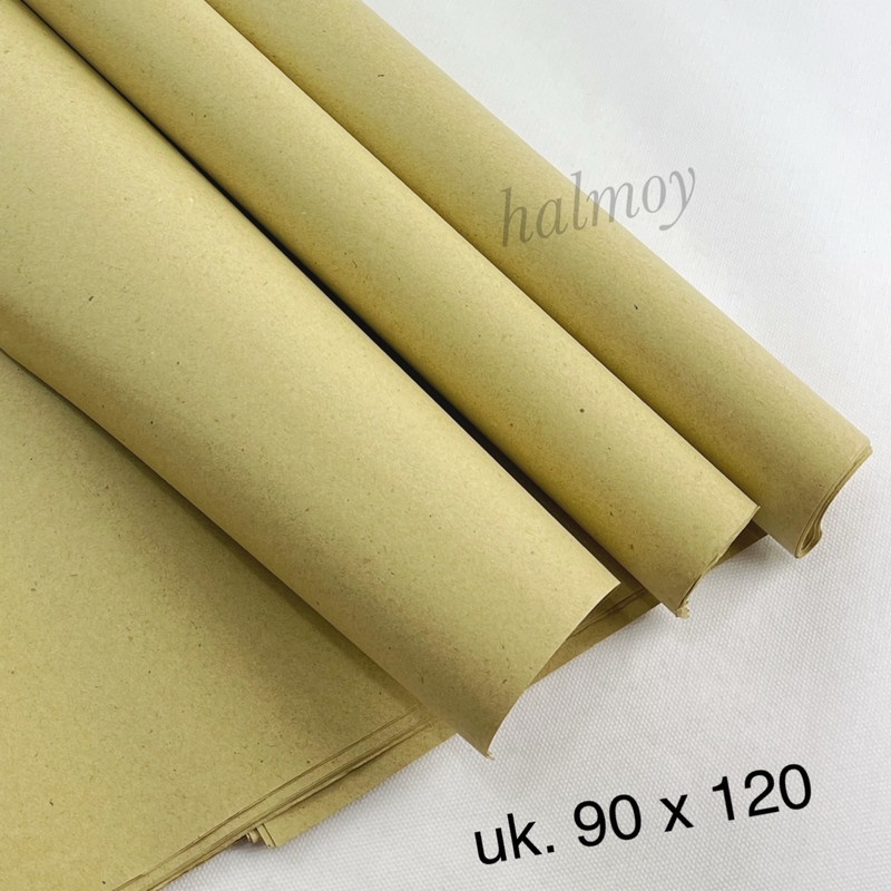 

KERTAS KESING COKLAT 80 GSM 90 X 120 CM ( 10 PCS )