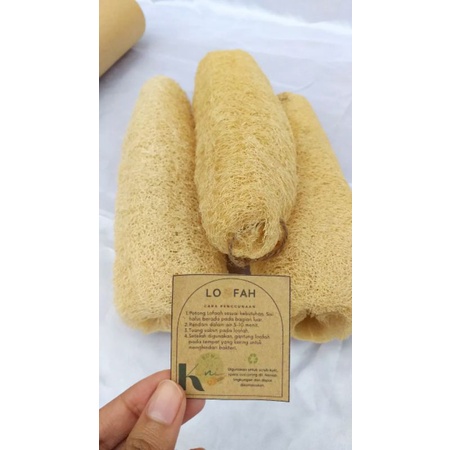 Tree Am Pm Loofah Gambas Kering Emes Blustru Spons Mandi Sponge Cuci Piring Jumbo 25-30 Cm