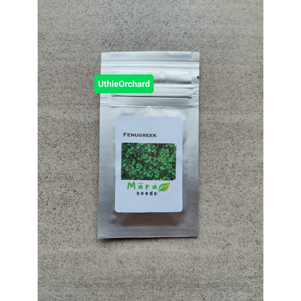Mara Seeds - Fenugreek (Kelabat/Klabet) (70 Seeds)