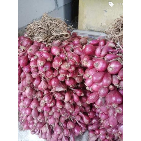 Bawang Merah Asli Brebes