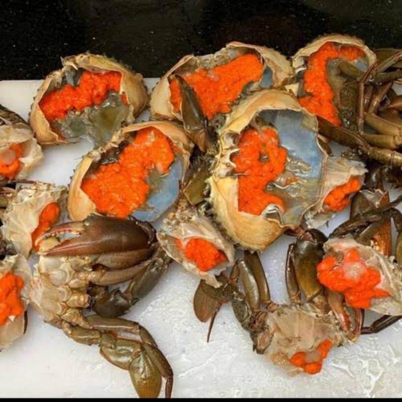 

jual promo , kepiting telur segar | 1 kilogram