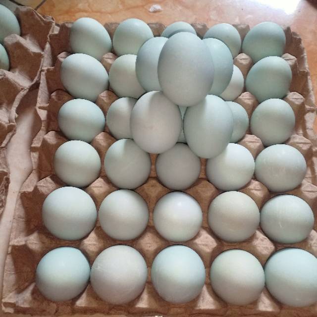 

Telur asin desa