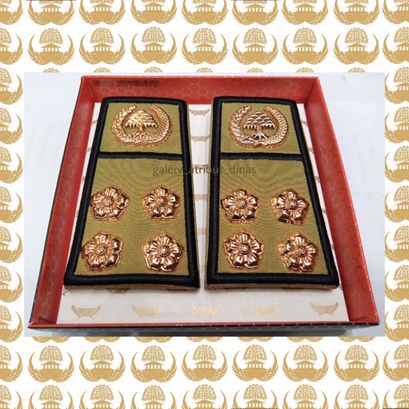 PANGKAT PNS BENGKULU GOLONGAN 2D