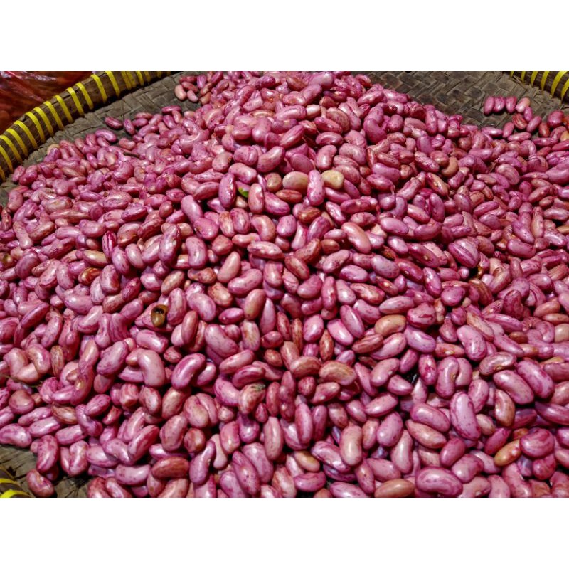 

Kacang merah 500 gram
