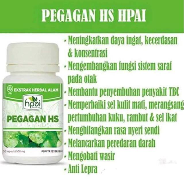 Pegagan hs hpai