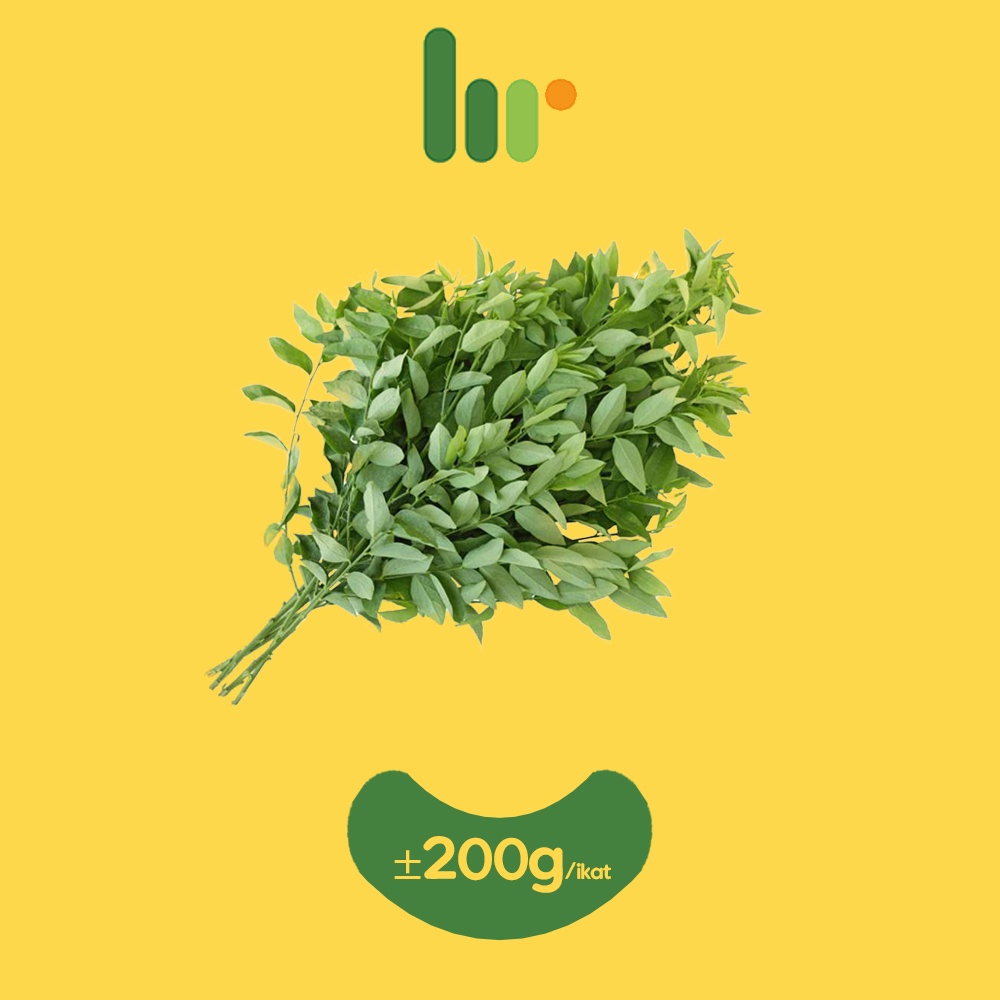 

Daun Katuk
