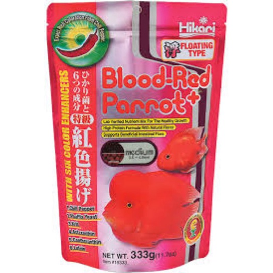 Blood Red Parrot